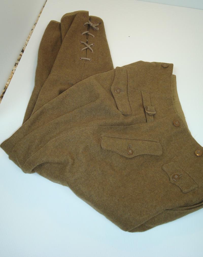 WWII GERMAN SA PERSONNEL\'S BREECHES MINT !