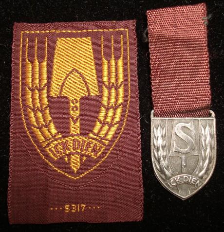 WWII DUTCH LABOR CORPS MEDAL AND PATCH